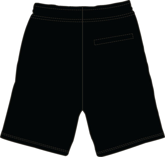 PRO STANDARD LOS ANGELES LAKERS CLASSIC BRISTLE FLC SHORT (BLL352713) BLK