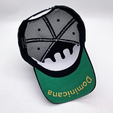 HUDSON REPUBLICA SUEDE TRUCKER HAT (CD0328)