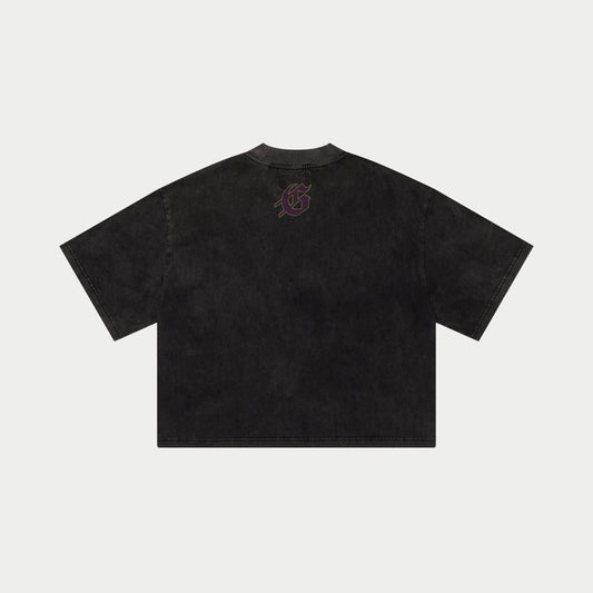 WestWorld T-Shirt (Grey Wash)