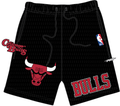 PRO STANDARD CHICAGO BULLS SOUVENIR M MESH SHORT (BCB3516006) BLK