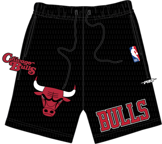 PRO STANDARD CHICAGO BULLS SOUVENIR M MESH SHORT (BCB3516006) BLK