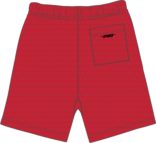 PRO STANDARD CHICAGO BULLS SOUVENIR M MESH SHORT (BCB3516006) RED