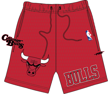 PRO STANDARD CHICAGO BULLS SOUVENIR M MESH SHORT (BCB3516006) RED