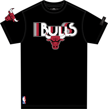 CHICAGO BULLS RETRO ELEVATION M SJ TEE (BCB1515990)