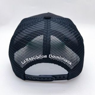 HUDSON REPUBLICA SUEDE TRUCKER HAT (CD0328)