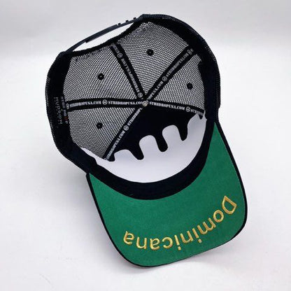 HUDSON REPUBLICA SUEDE TRUCKER HAT (CD0328)