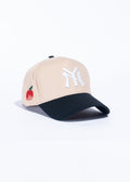 NY (REF810)
