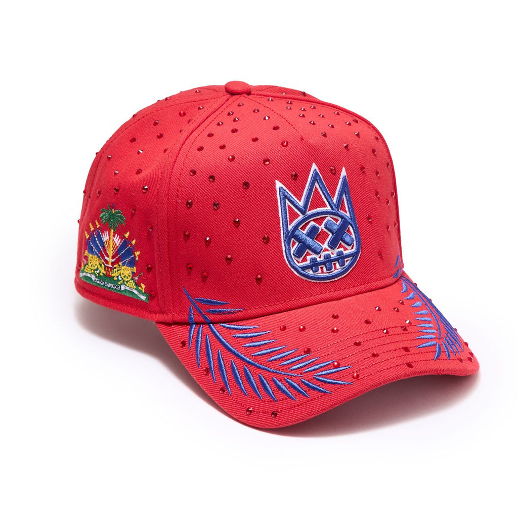 CULT X TOPSON TRUCKER HAT (626AC-CHTOP1)