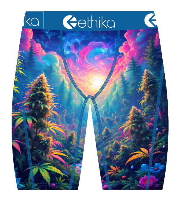 Ethica Indica Dreams (MSPAAB2603)