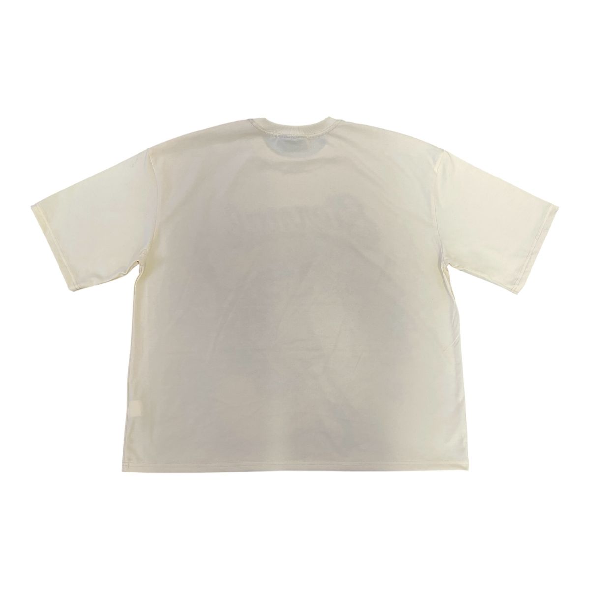 Concept "Eternal" Boxy Tee- Bone (CONT_23)
