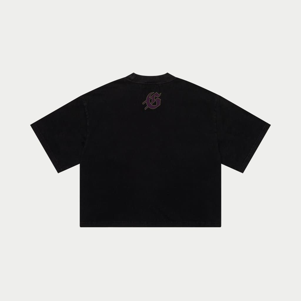 WestWorld T-Shirt (Black Wash)