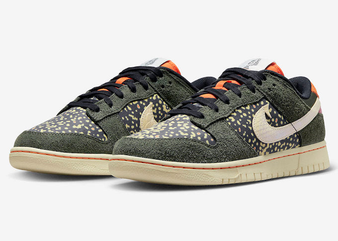 Nike DUNK LOW SE 'GONE FISHING - RAINBOW TROUT' FN7523-300