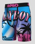PSD PLAYBOY VENICE